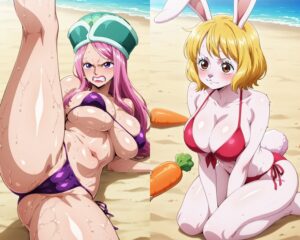 【ワンピース】女海賊たちのビキニ姿（裸差分あり）