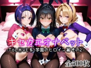 【ToLOVEる】キセカエオナペット -ToL◯VEる・学園のヒロイン篇 その2-